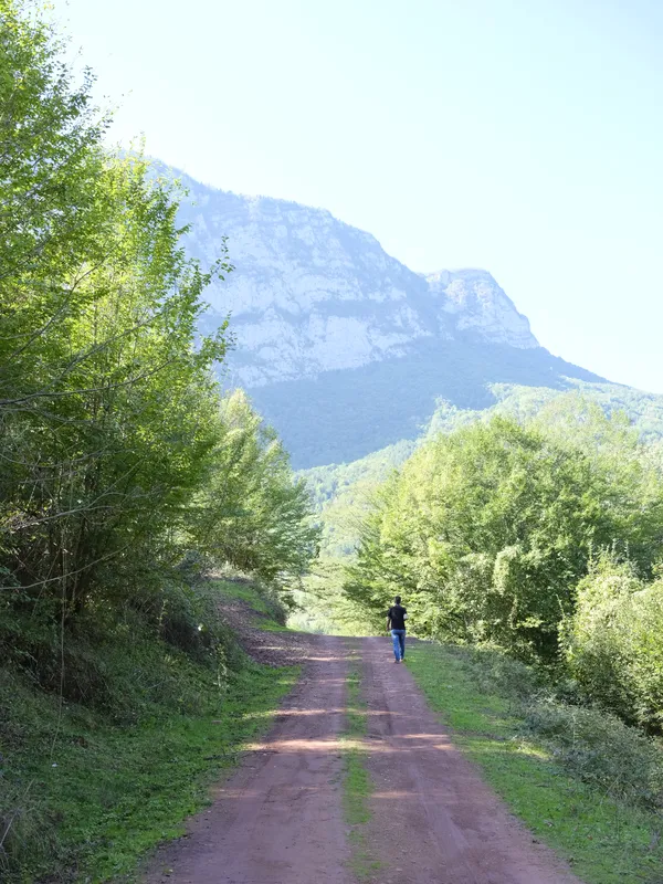 Ağaçlar arasında uzanan yol ve arkada kireçtaşı dağ.