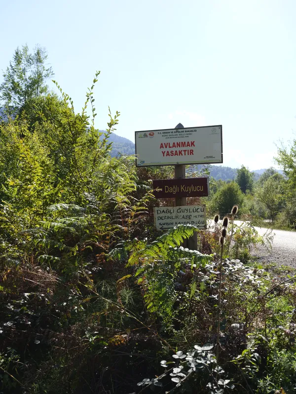 Yol kenarındaki tabelalar ve çalılar.